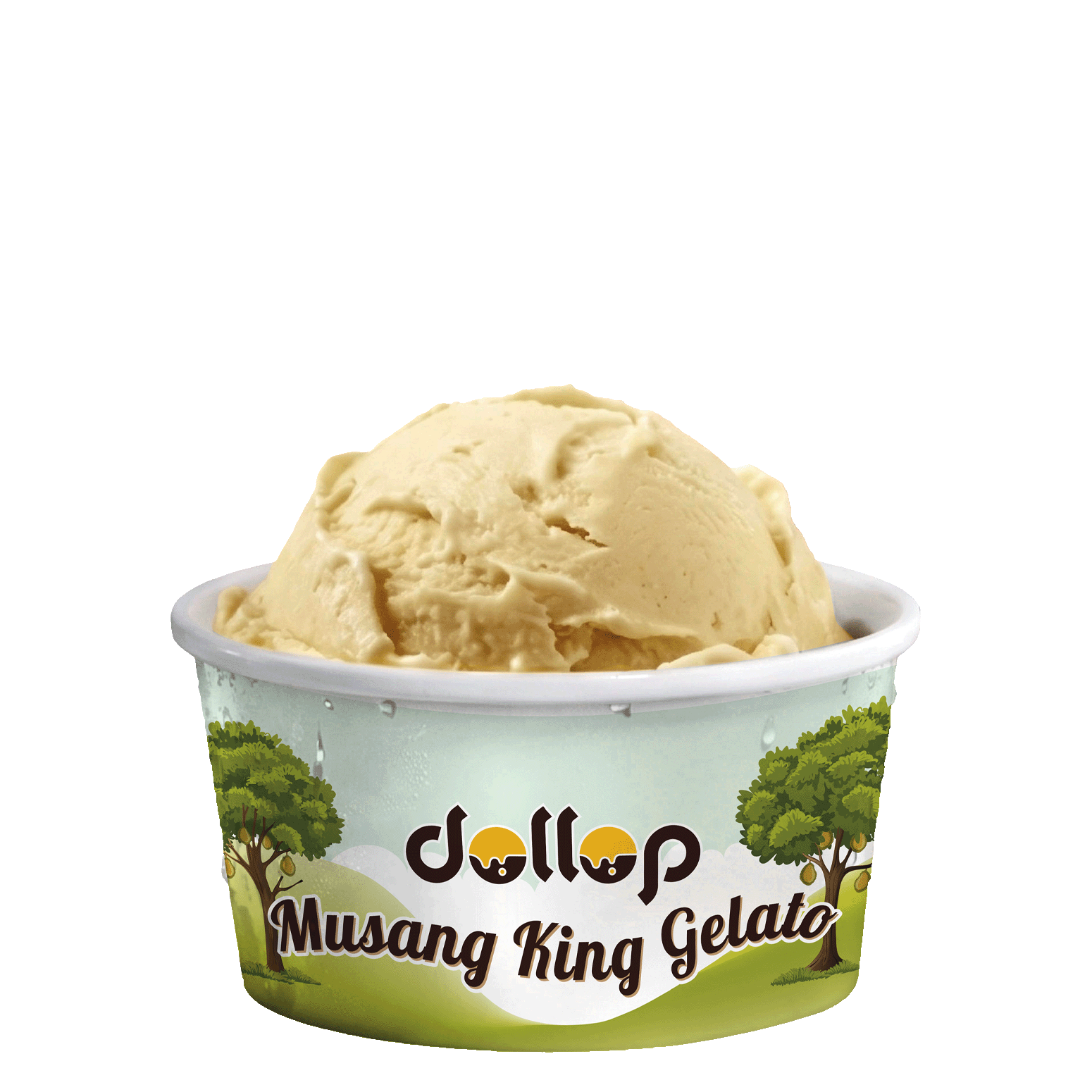 80g Cup